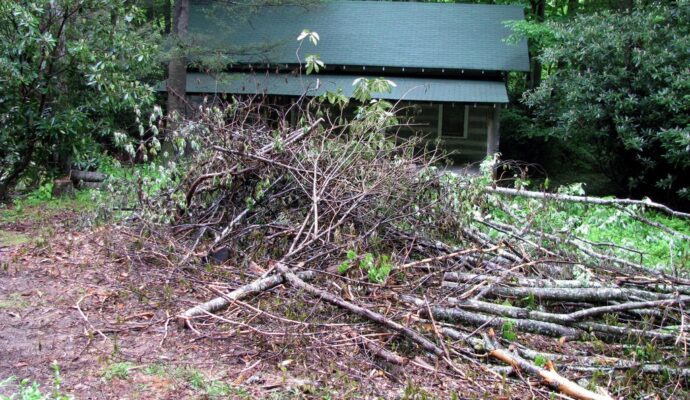 Brush removal-Palm Beach County’s Best Dumpster Removal Services-We Offer Residential and Commercial Dumpster Removal Services, Dumpster Rentals, Bulk Trash, Demolition Removal, Junk Hauling, Rubbish Removal, Waste Containers, Debris Removal, 10 Yard Containers, 15 Yard to 20 Yard to 30 Yard to 40 Yard Container Rentals, and much more! Brush removal-Palm Beach County’s Best Dumpster Removal Services-We Offer Residential and Commercial Dumpster Removal Services, Dumpster Rentals, Bulk Trash, Demolition Removal, Junk Hauling, Rubbish Removal, Waste Containers, Debris Removal, 10 Yard Containers, 15 Yard to 20 Yard to 30 Yard to 40 Yard Container Rentals, and much more!