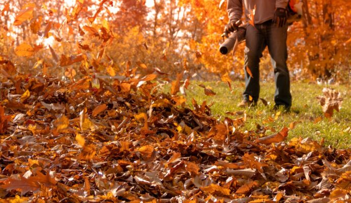 Seasonal removal-Palm Beach County’s Best Dumpster Removal Services-We Offer Residential and Commercial Dumpster Removal Services, Dumpster Rentals, Bulk Trash, Demolition Removal, Junk Hauling, Rubbish Removal, Waste Containers, Debris Removal, 10 Yard Containers, 15 Yard to 20 Yard to 30 Yard to 40 Yard Container Rentals, and much more! Seasonal removal-Palm Beach County’s Best Dumpster Removal Services-We Offer Residential and Commercial Dumpster Removal Services, Dumpster Rentals, Bulk Trash, Demolition Removal, Junk Hauling, Rubbish Removal, Waste Containers, Debris Removal, 10 Yard Containers, 15 Yard to 20 Yard to 30 Yard to 40 Yard Container Rentals, and much more!