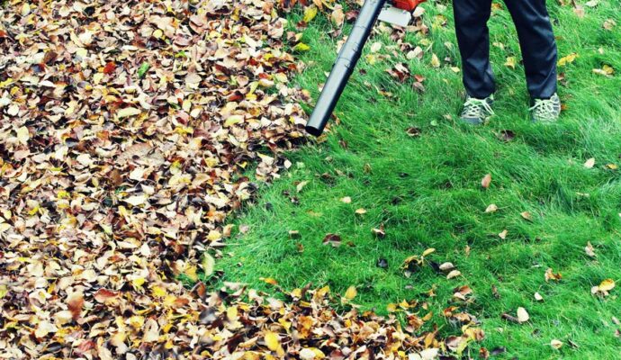 Yard cleanups-Palm Beach County’s Best Dumpster Removal Services-We Offer Residential and Commercial Dumpster Removal Services, Dumpster Rentals, Bulk Trash, Demolition Removal, Junk Hauling, Rubbish Removal, Waste Containers, Debris Removal, 10 Yard Containers, 15 Yard to 20 Yard to 30 Yard to 40 Yard Container Rentals, and much more! Yard cleanups-Palm Beach County’s Best Dumpster Removal Services-We Offer Residential and Commercial Dumpster Removal Services, Dumpster Rentals, Bulk Trash, Demolition Removal, Junk Hauling, Rubbish Removal, Waste Containers, Debris Removal, 10 Yard Containers, 15 Yard to 20 Yard to 30 Yard to 40 Yard Container Rentals, and much more!